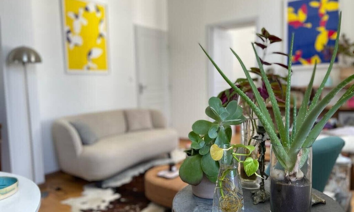 Decre-Cathedrale Apartment | Bright apartment - old renovated building