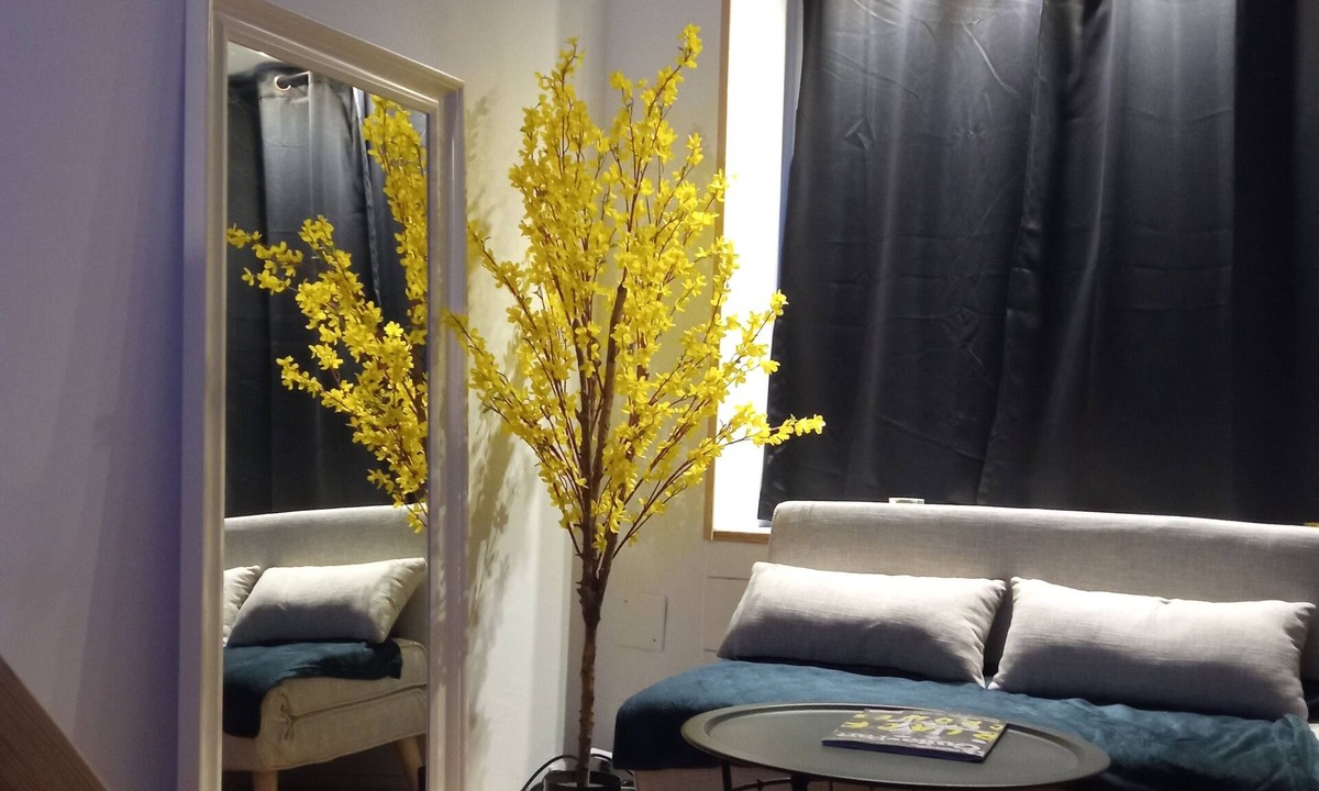 Equeurdreville-Hainneville Apartment | Charmant Studio Atypique, au Coeur d' une rue Commerçante