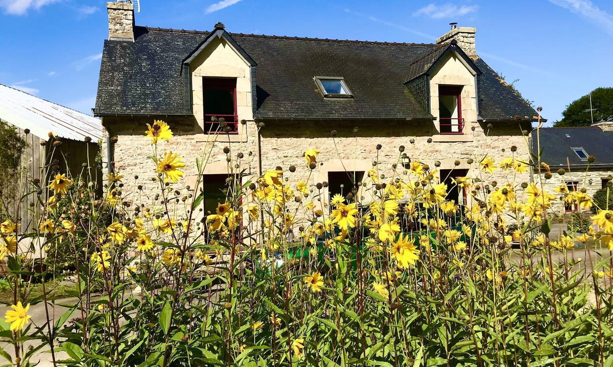 Leuhan House | cottage in the countryside with its view of the black mountains