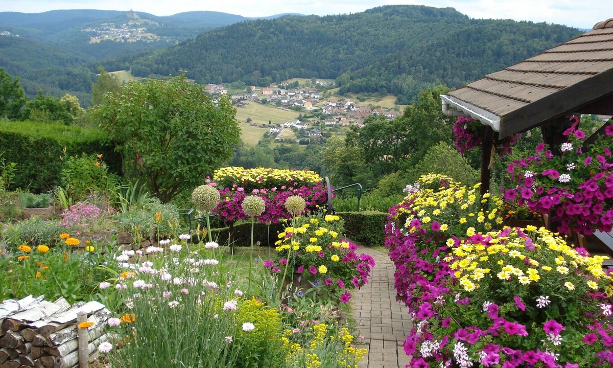 Haselbourg House | Country House 'Le Gite Fleuri' with Mountain View, Wi-Fi and Air Conditioning