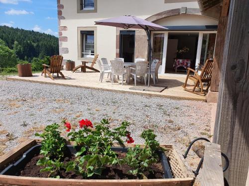 Girmont-Val-d'Ajol House | Ferme authentique en montagne - max pers. - FR-1-589-870