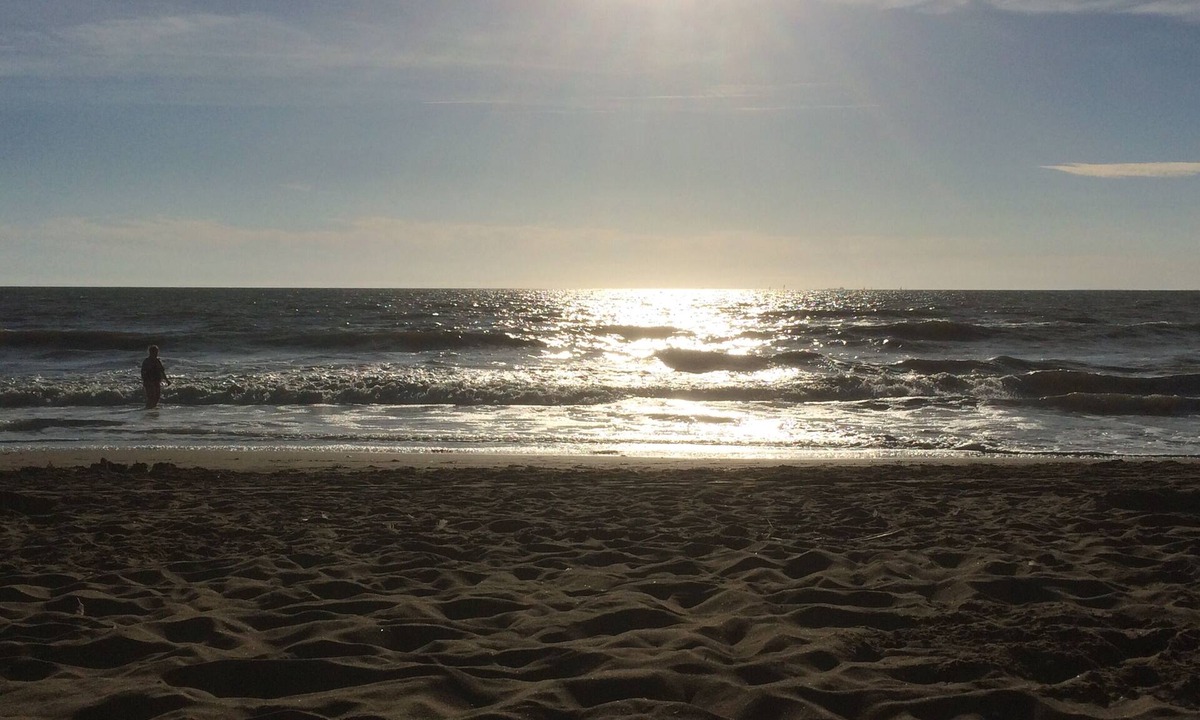 Tharon-Plage House | Holiday house for 2 to 10 persons Saint MIchel head chef