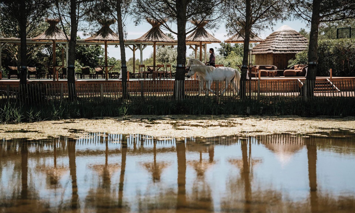 Saintes-Maries-de-la-Mer House | Mas de Dard, an Exceptional Estate in Provence, with a heated pool and a padel court