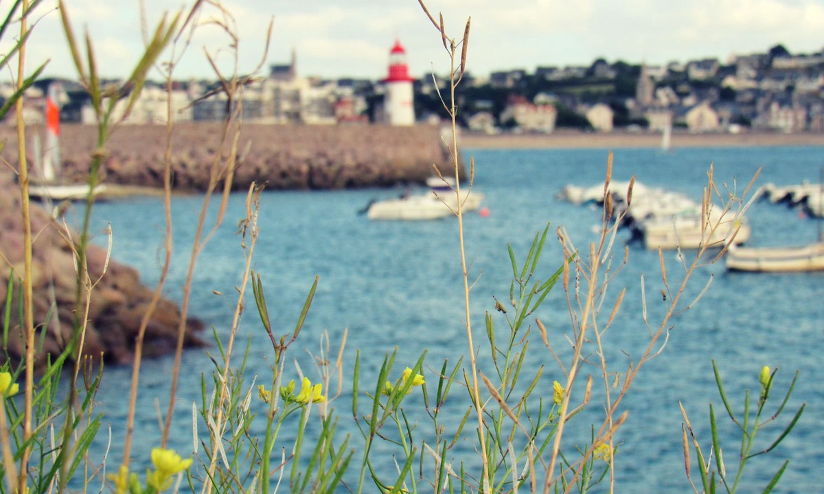 Erquy House | OCTOBER - NOVEMBER ✨ Welcome to one of Brittany's most beautiful paradises ✨