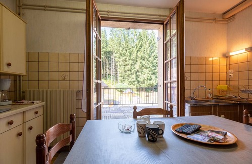 Plombieres-les-Bains Apartment | Apartment “La Petite Caille - 10” with Mountain View, Private Terrace and Wi-Fi