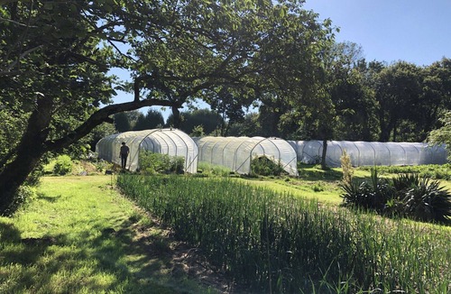 Dinard House | At the heart of a market-garden farm on the Emerald Coast