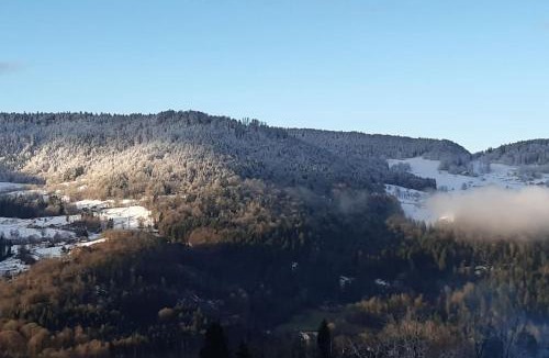 Thiefosse Ski Chalet | Chalet au coeur des Vosges/Le Chalet d'Hannopré