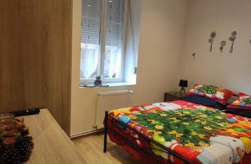 Bischheim House | Chez Dori Chambre des amis dans appartement partagé