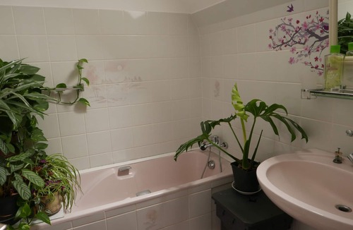 Plouray Bed & Breakfast | Cottagety Bian 1 Chambre d Hote
