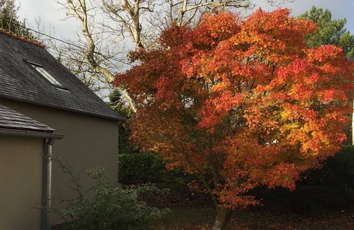 Fouesnant House | Exclusively renovated farmhouse in southern Brittany