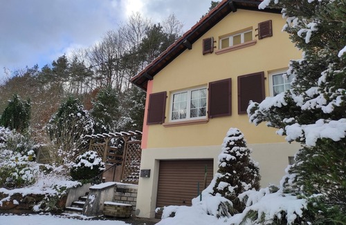 Wingen-sur-Moder House | Gîte les Acacias 2 to 4 persons terrace, garden, on the edge of the forest