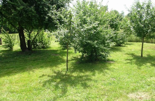 Dompierre-sur-Besbre Cottage | Independent Cottage Near Le PAL with Wifi and Pets Allowed