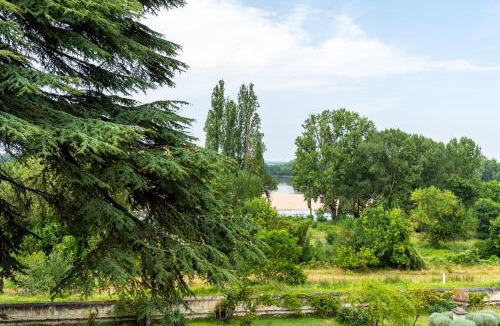 Chenehutte-Treves-Cunault Apartment | Joli 2 pièces - Dépendance - Vue Loire