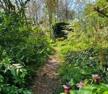 Saint-Fraimbault Bed & Breakfast | Le Jardin des Papillons, gîte et chambre d'hôtes à Saint Fraimbault
