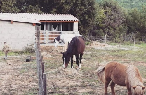 Saint-Andre-d'Olerargues Apartment | LE MAZET D'EMILIE