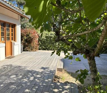Pyla-sur-Mer House | Le Refuge du Pyla