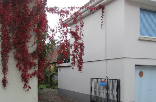 Saint-Amarin Apartment | "Le relais Bleu" at the foot of the mountain, spacious, quiet, terrace + garden, 4 + 2pers