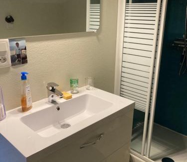 La Chaize-Giraud Apartment | Les Albizias