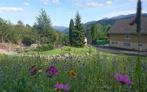 Fellering Apartment | les balcons de Fellering