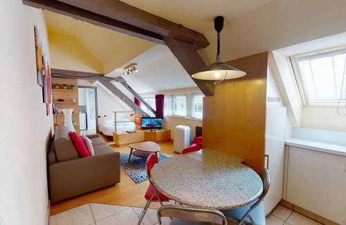 City-Centre - Petite France Apartment | loft pelletiers city center up to 4