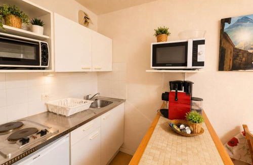 Oz Apartment | Studio 4 pers. pieds des pistes - Animaux admis - FR-1-393-188