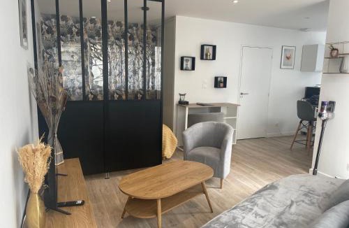 Saint-Nazaire Apartment | Studio récent, entièrement équipé, proche Chantiers et Airbus
