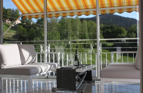 Travexin Ski Chalet | VILLA CHALET STANDING PISCINE COUVERTE HTES VOSGES LA BRESSE VENTRON VUE WIFI