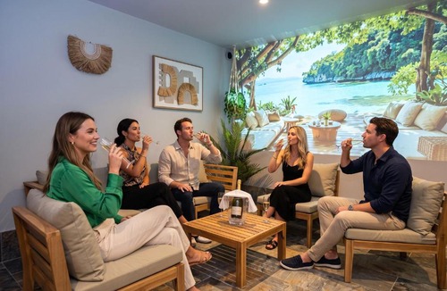 Ittenheim Villa | Villa Lion - SPA Privé, Climatisation, Sauna, Borne d'arcade, Babyfoot
