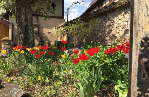 Niedermorschwihr House | Winegrower's house XVI. Century