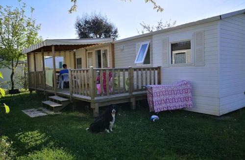 Challans Other | ZEcamping 4 étoiles familial pet friendly restaurant et espace aquatique
