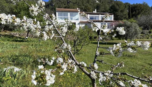 artist's house, exceptional place, where nature and serenity reign.