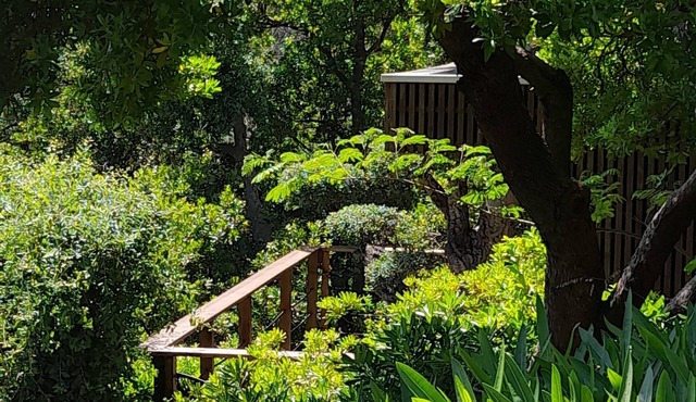 Chalet in a green setting, sea view, Absolute peace, Pets allowed