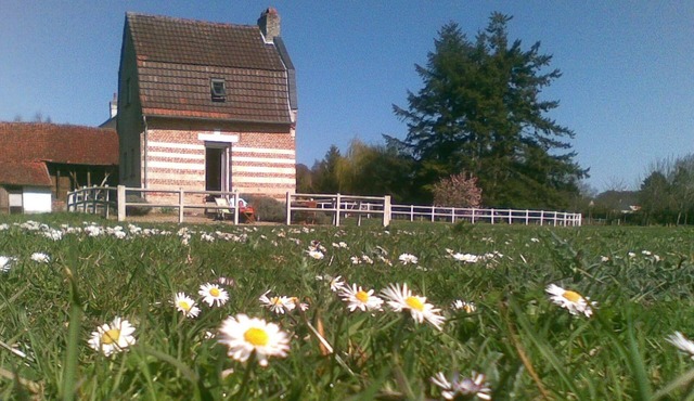 Doll's house by the water, large garden, bikes included