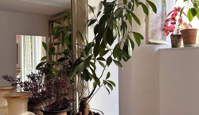 Family Apartment in Paris
