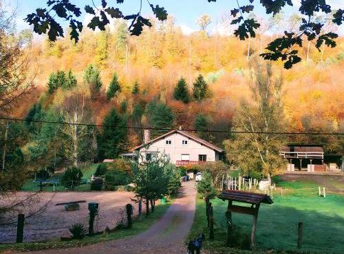 Gîte de la vallée, En Pleine Forêt