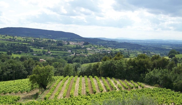 Gîte in Provence in the heart of the vineyards