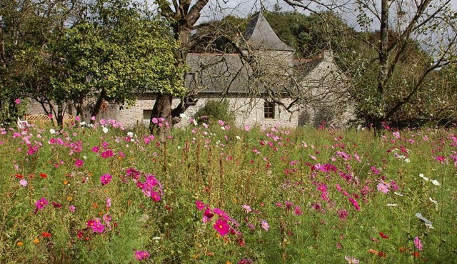 Manoir du Mur