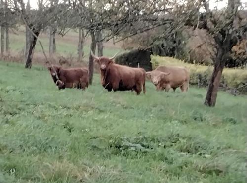 séjour familial la campagne