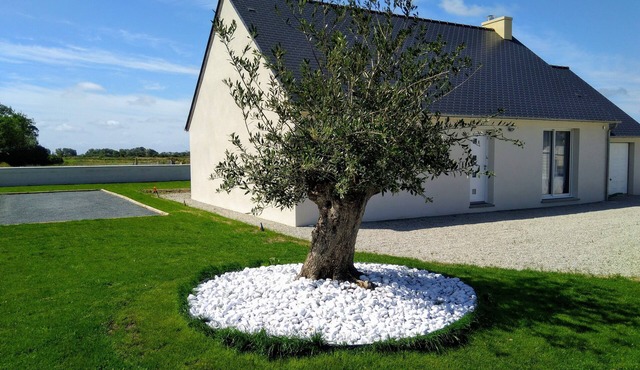 Single-storey house 1600m from the sea