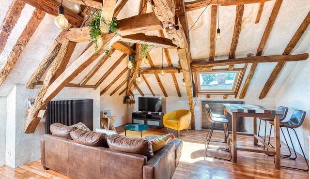 Superb apartment with Loire view under the roofs