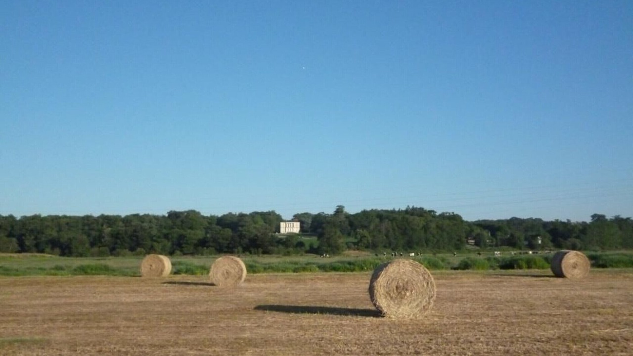 Photo of Outdoor in Port-Saint-Pere