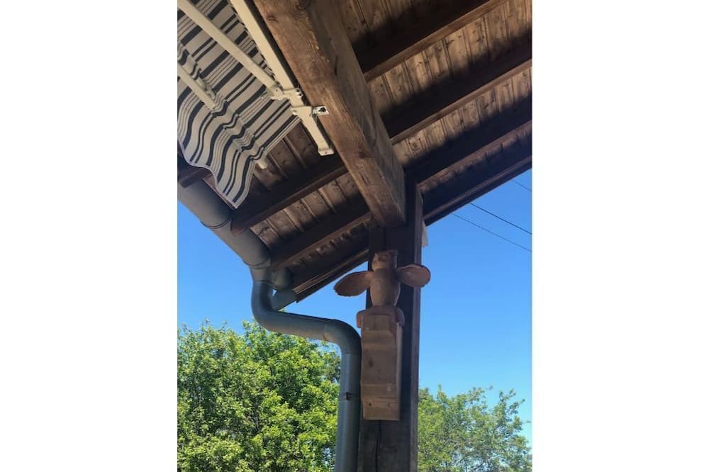 Photo of Outdoor in Gourgeon