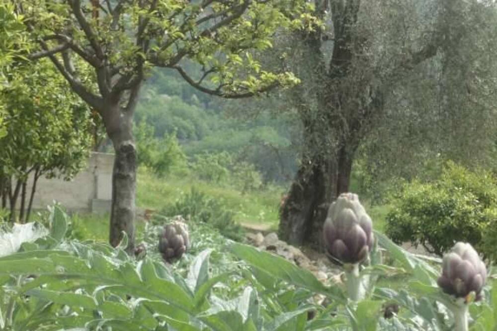 Photo of Outdoor in Le Bar-sur-Loup