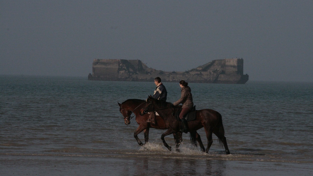 Photo of Others in Port-en-Bessin-Huppain