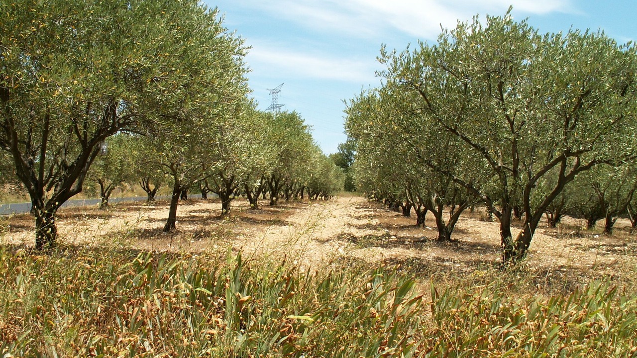 Photo of Outdoor in Le Pouget