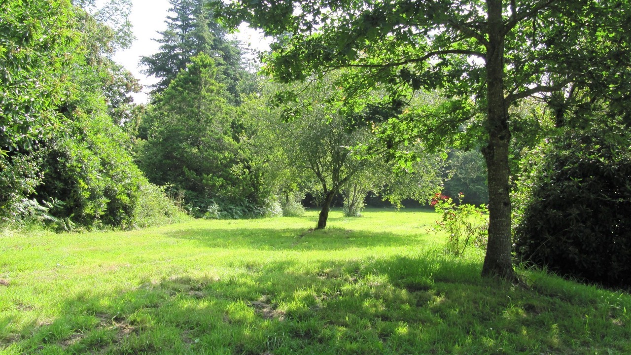 Photo of Others in Leuhan