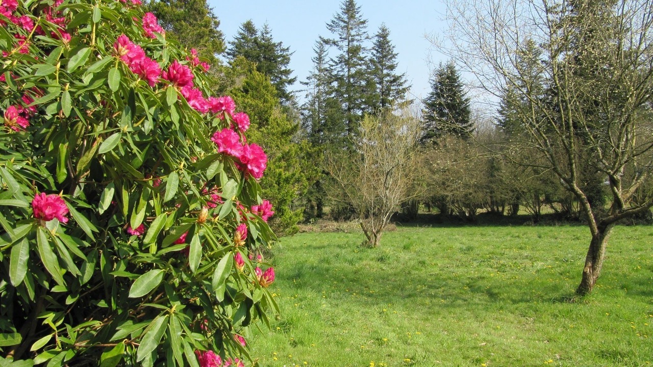 Photo of Outdoor in Leuhan