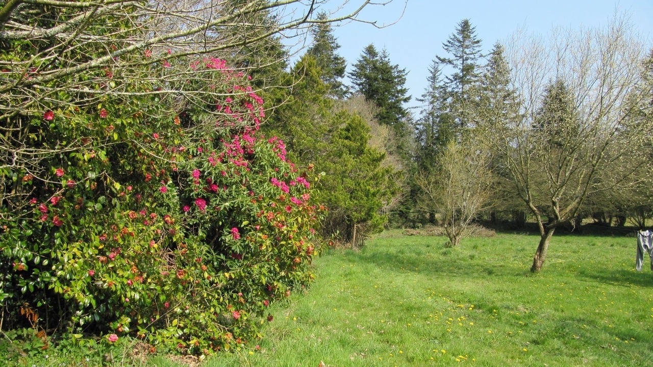Photo of Outdoor in Leuhan