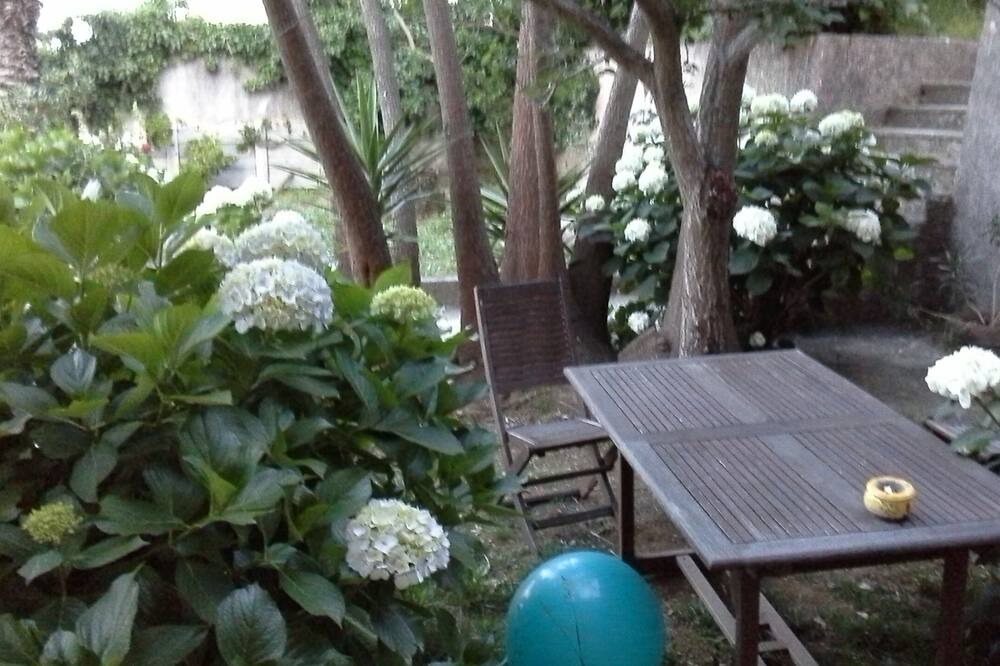 Photo of Patio Balcony in Figarella