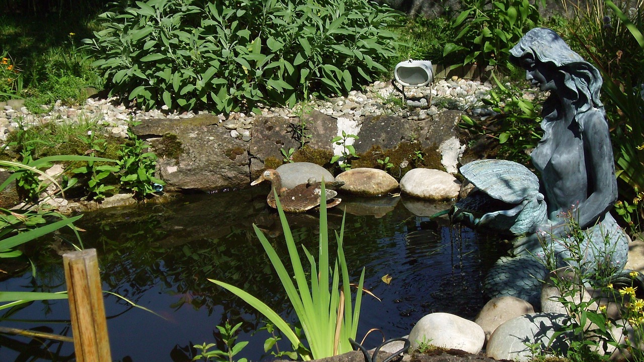 Photo of Outdoor in Monswiller